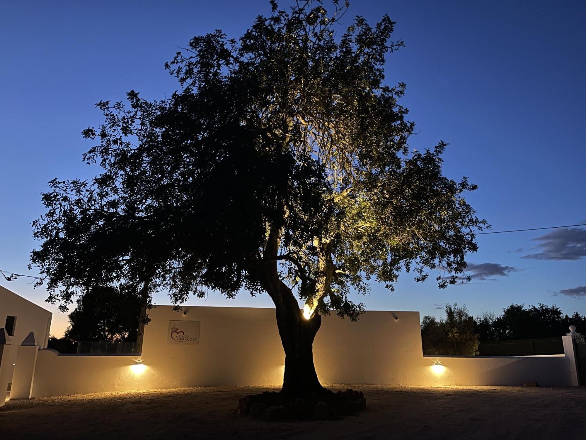 Monte Geracoes - Heated Pool - Typical Algarvian - Close To Quinta Lago, Vale Lobo And Vilamoura Almancil Dış mekan fotoğraf